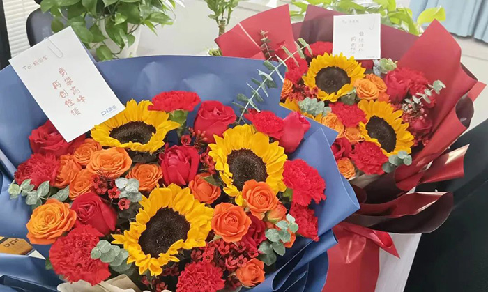 以夢為馬，不負韶華